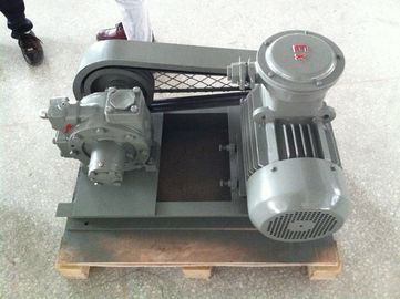 China Gas Station Use Hand Held Vacuum Pump LPGP-2000 With Innovative Cam Design supplier