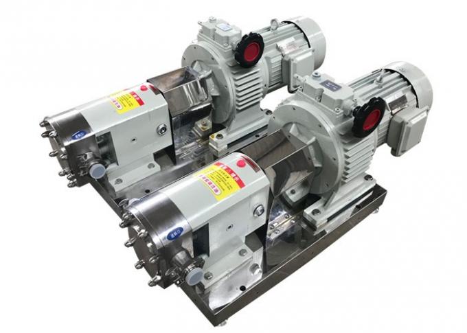 Rotary Positive Displacement Pumps With Stepless Speed Regulating Motor Reducer