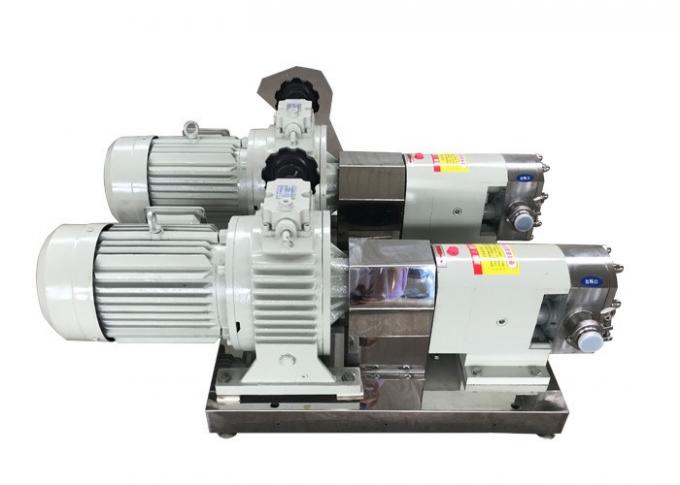 Rotary Positive Displacement Pumps With Stepless Speed Regulating Motor Reducer