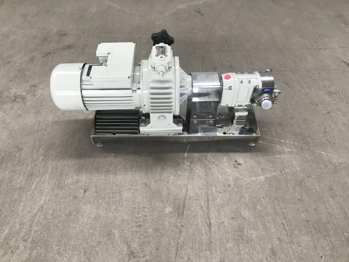 220v Single Phrase Rotary Lobe Pump Variable Frequency Adjustable Speed