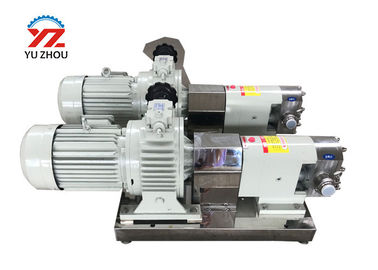 Rotary Positive Displacement Pumps With Stepless Speed Regulating Motor Reducer supplier