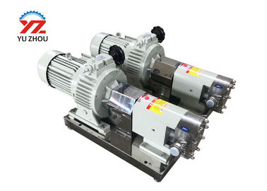 Rotary Positive Displacement Pumps With Stepless Speed Regulating Motor Reducer supplier