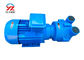 Close Coupled Design Gear Oil Transfer Pump Liquid Ring Type For Plastic Machine supplier