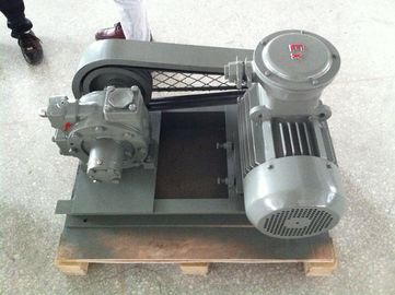 Gas Station Use Hand Held Vacuum Pump LPGP-2000 With Innovative Cam Design supplier